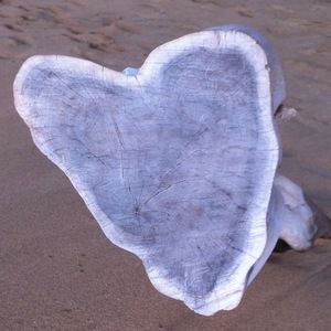 Meet your Posher, May